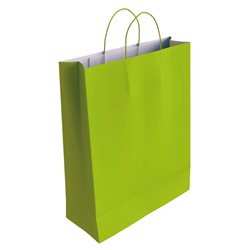 Bolsa Papel Celulosa Pistacho 32 x 24 x 10 CM