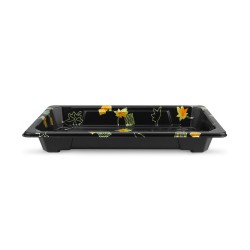 Yonhoo - Equipamiento Comercial | Bandeja Desechable Sushi - 16 x 9 CM | Ref. ZJ213011