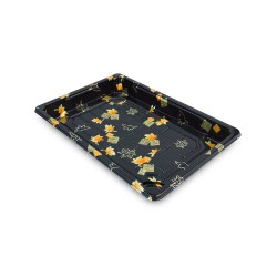 Yonhoo - Equipamiento Comercial | Bandeja Desechable Sushi - 19 x 14 CM | Ref. ZJ213051