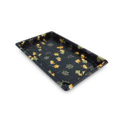 Yonhoo - Equipamiento Comercial | Bandeja Desechable Sushi - 22 x 14 CM | Ref. ZJ213071