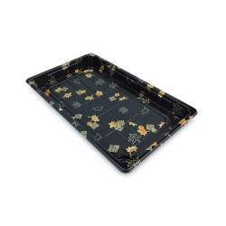 Yonhoo - Equipamiento Comercial | Bandeja Desechable Sushi - 24 x 15 CM | Ref. ZJ213091
